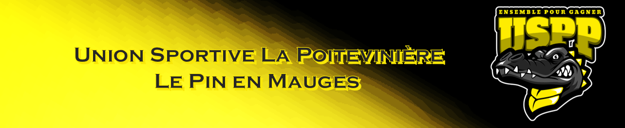 US LE PIN LA POITEVINIERE BASKET Title Image
