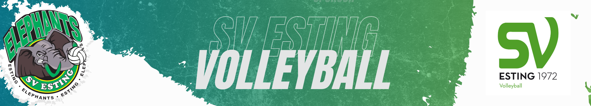 SV Esting Title Image