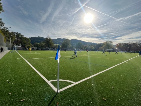 Spvgg. Gundelfingen/Wildtal Title Image
