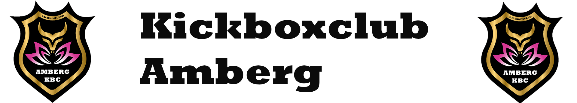 Kickboxclub Amberg Title Image