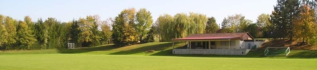 SV Hohenaltheim Title Image