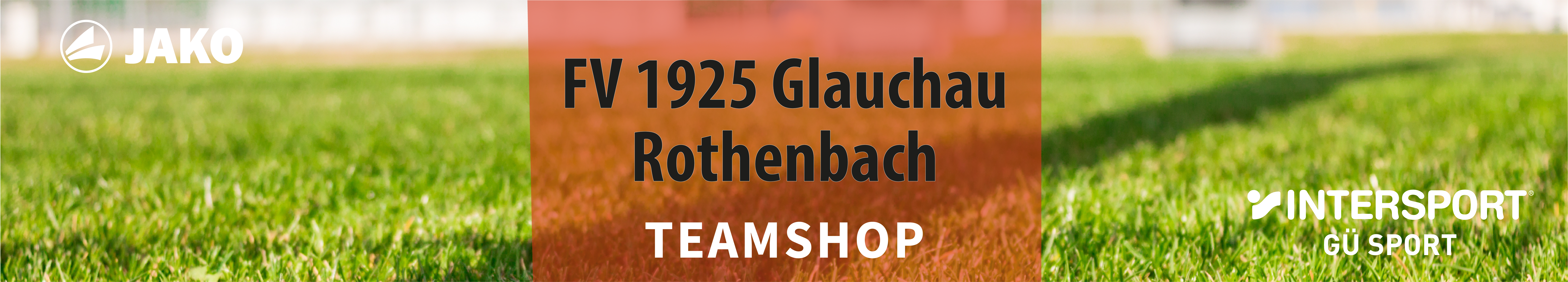 FV 1925 Glauchau Rothenbach Title Image