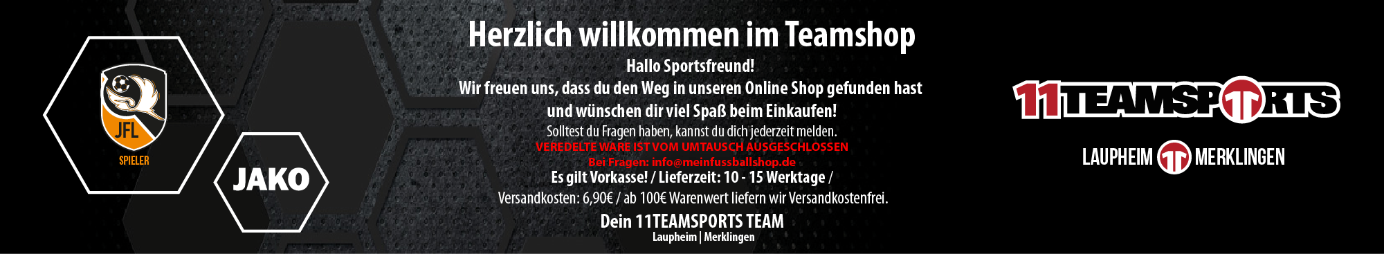 Jugendfussball Langenau Title Image