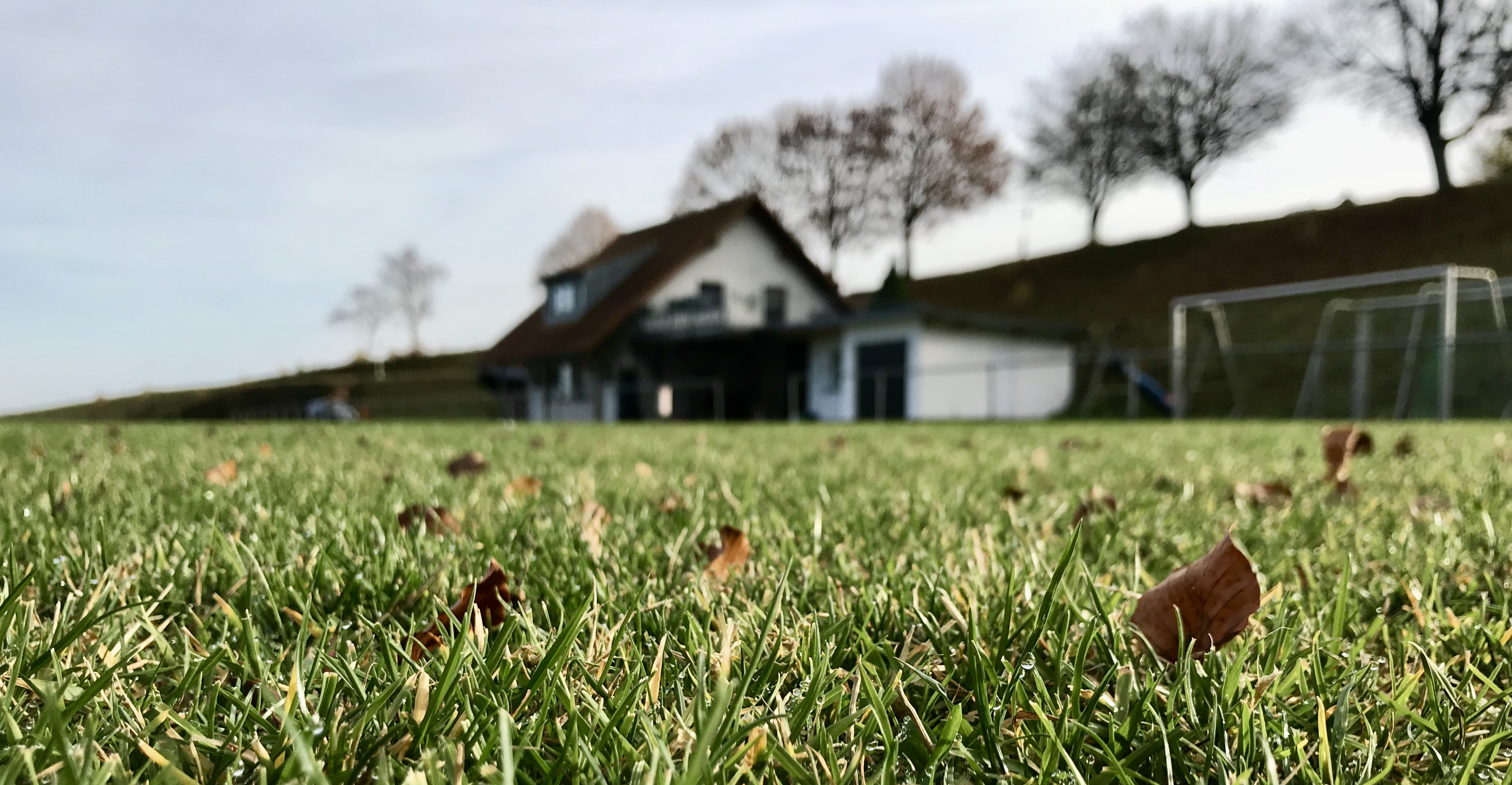SpVgg Pflummern-Friedingen Title Image