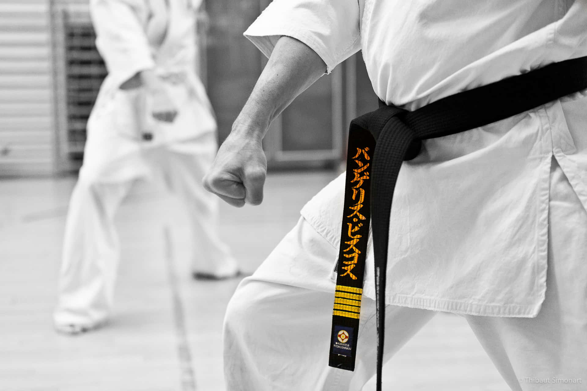 SC Berlin Abt. Judo/ Karate e.V. Title Image