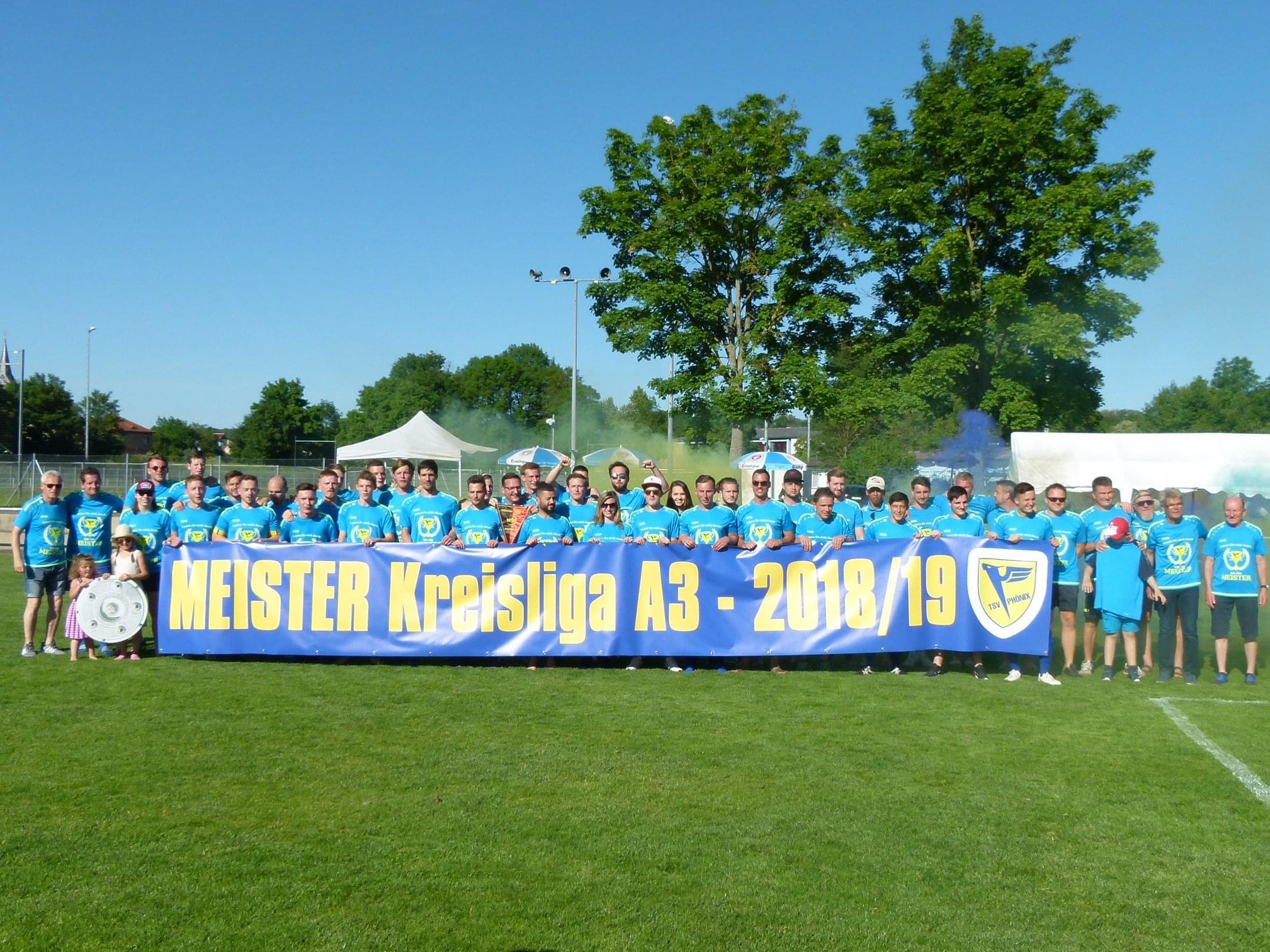 TSV Phoenix Lomersheim Title Image