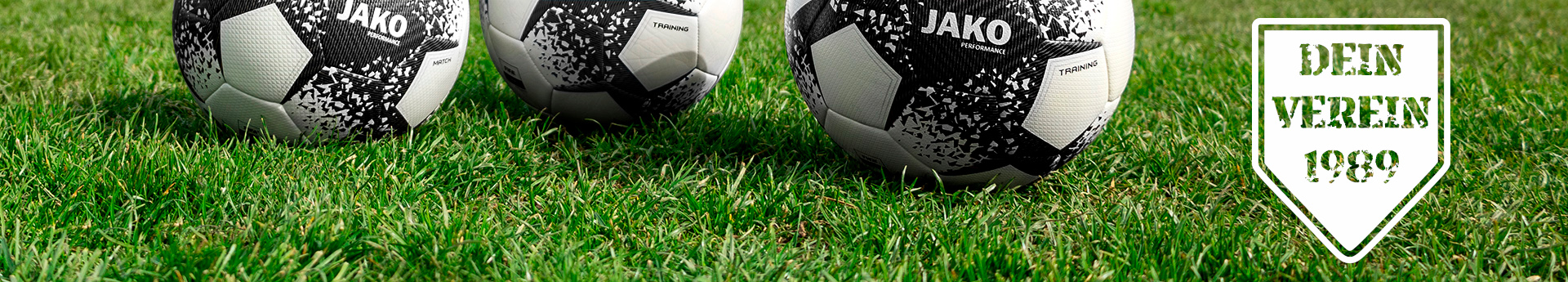 TSV Eintracht Wichmannshausen Title Image