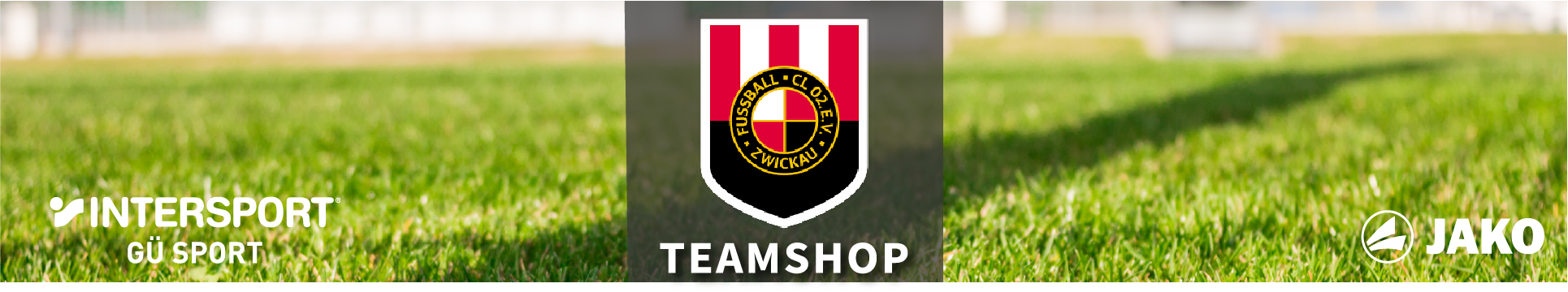 FC 02 Zwickau Title Image
