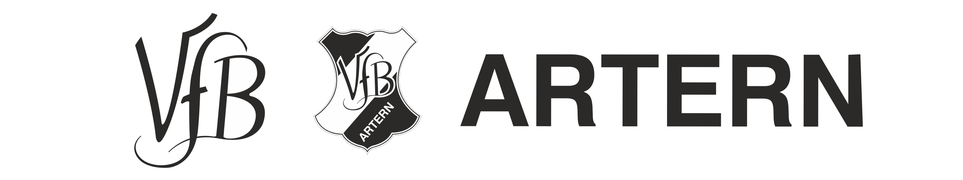 VfB Artern Title Image