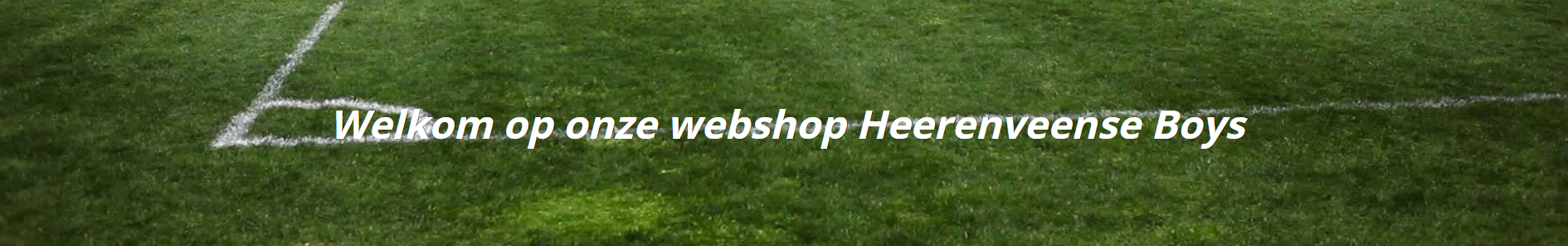 Heerenveense Boys Title Image