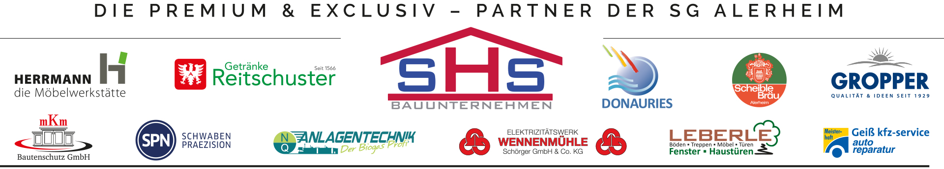 SG Alerheim Title Image