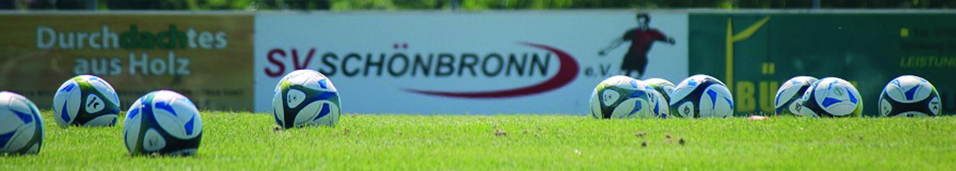 SV Schönbronn Title Image
