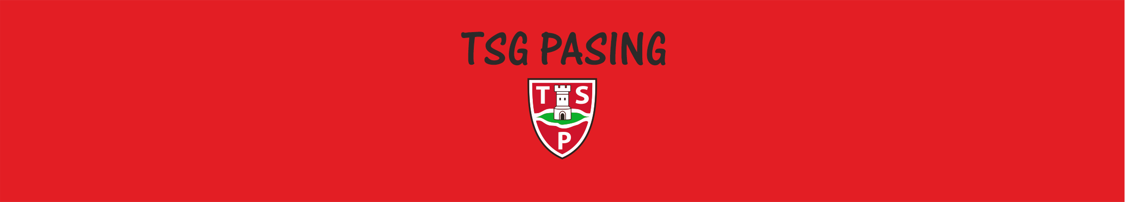 TSG Pasing Title Image