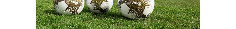 FC Langweid Senioren Title Image