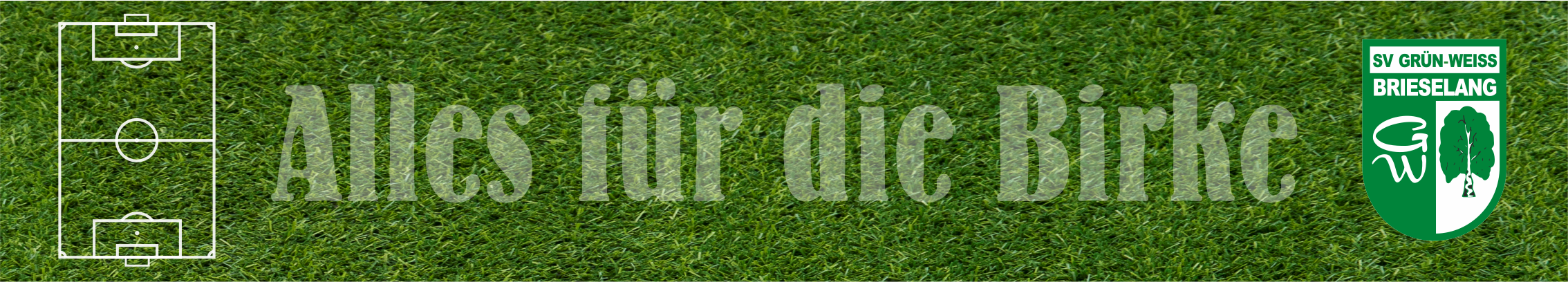 SV Grün-Weiss Brieselang Title Image