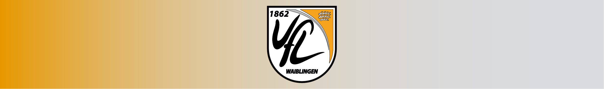 VfL Waiblingen Title Image