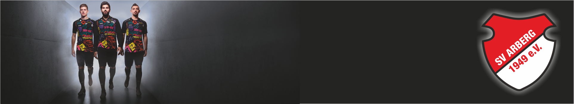 SV Arberg Title Image
