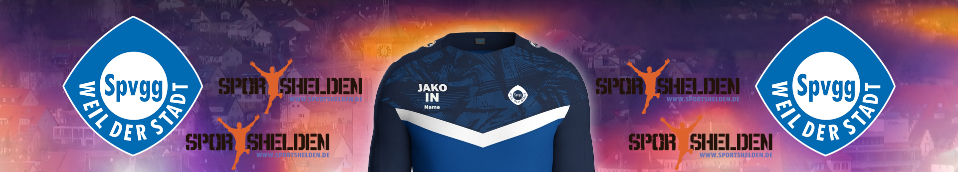 SpVgg Weil der Stadt - Faustball Title Image