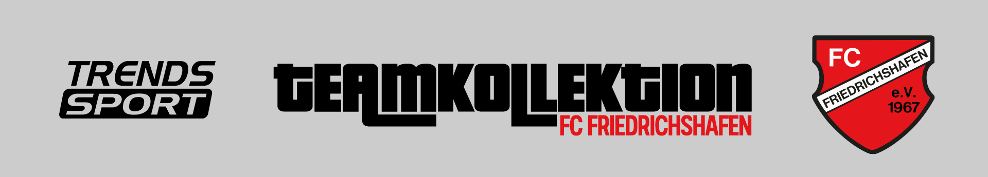 FC Friedrichshafen Title Image