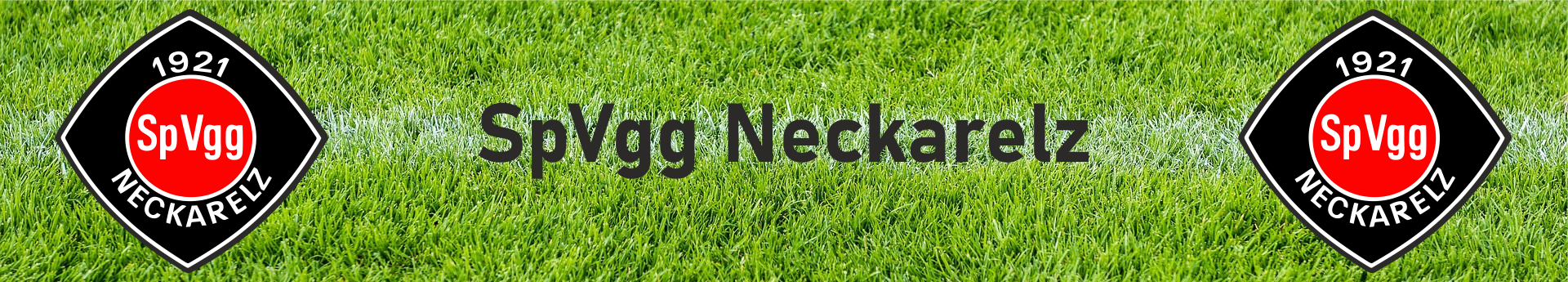 SpVgg Neckarelz Gesamtverein Title Image