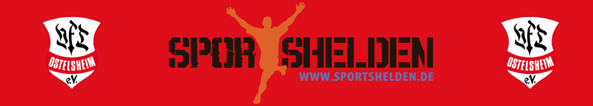 VfL Ostelsheim Aktive Title Image