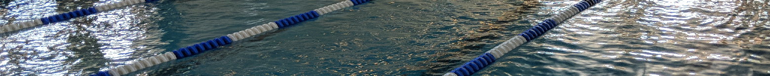 Schwimmverein Nördlingen Title Image