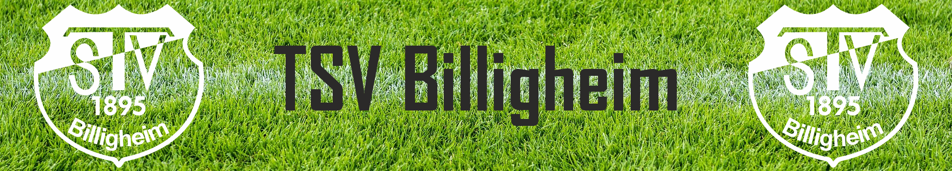 TSV Billigheim Title Image