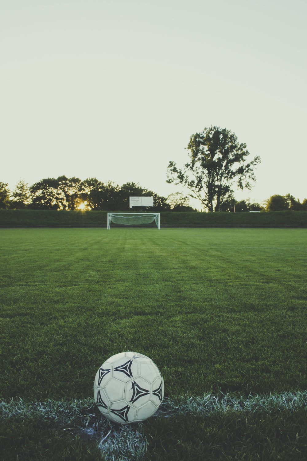 TSV Jesingen Fußball Title Image