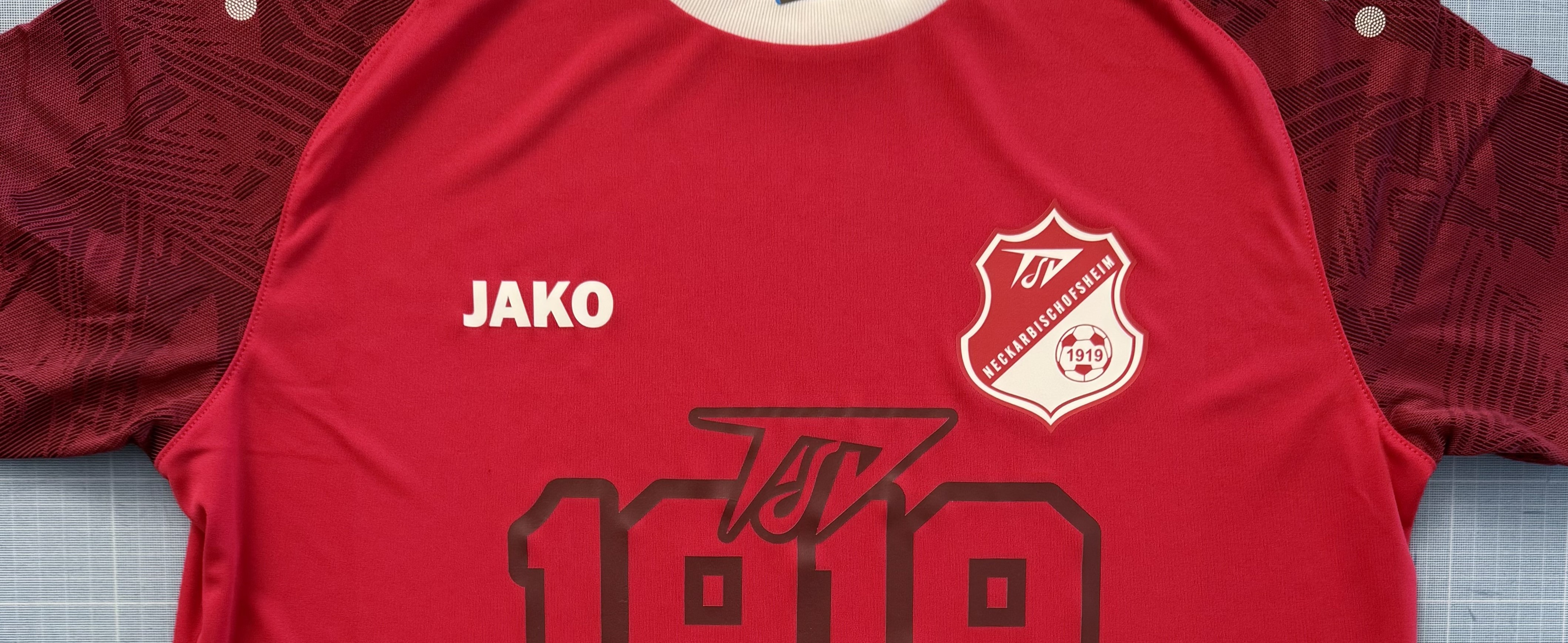 TSV 1919 Teamshop Title Image