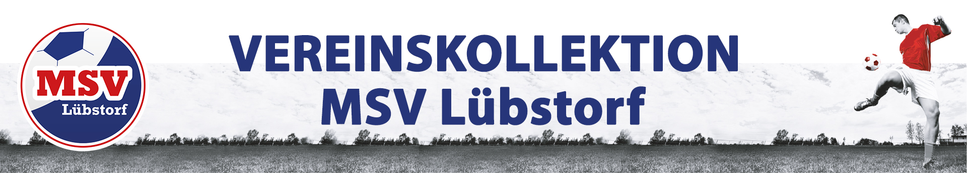 MSV Luebstorf Title Image