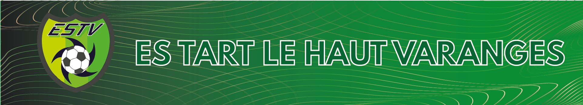 ESTV Title Image