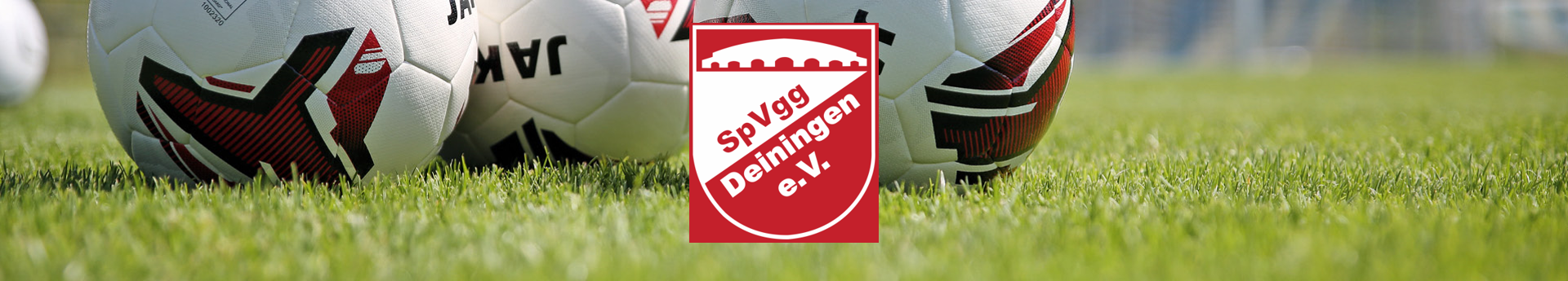 SpVgg Deiningen Fußball Title Image