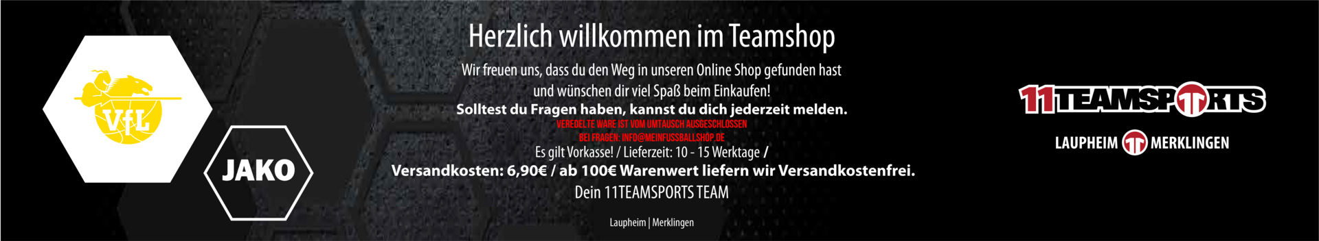 VFL Kirchheim Knights Title Image