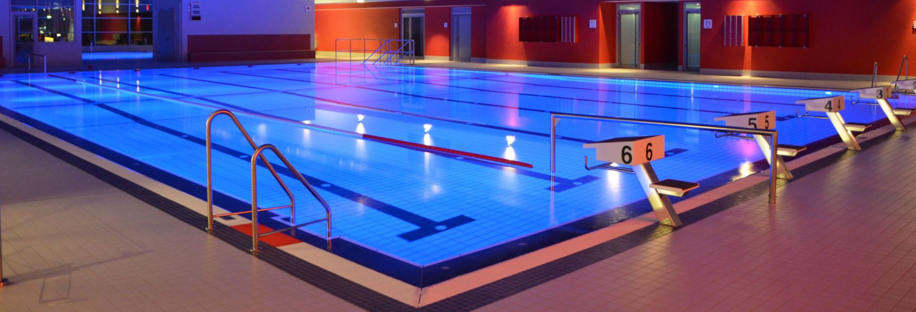 ASG Schwimmen Title Image