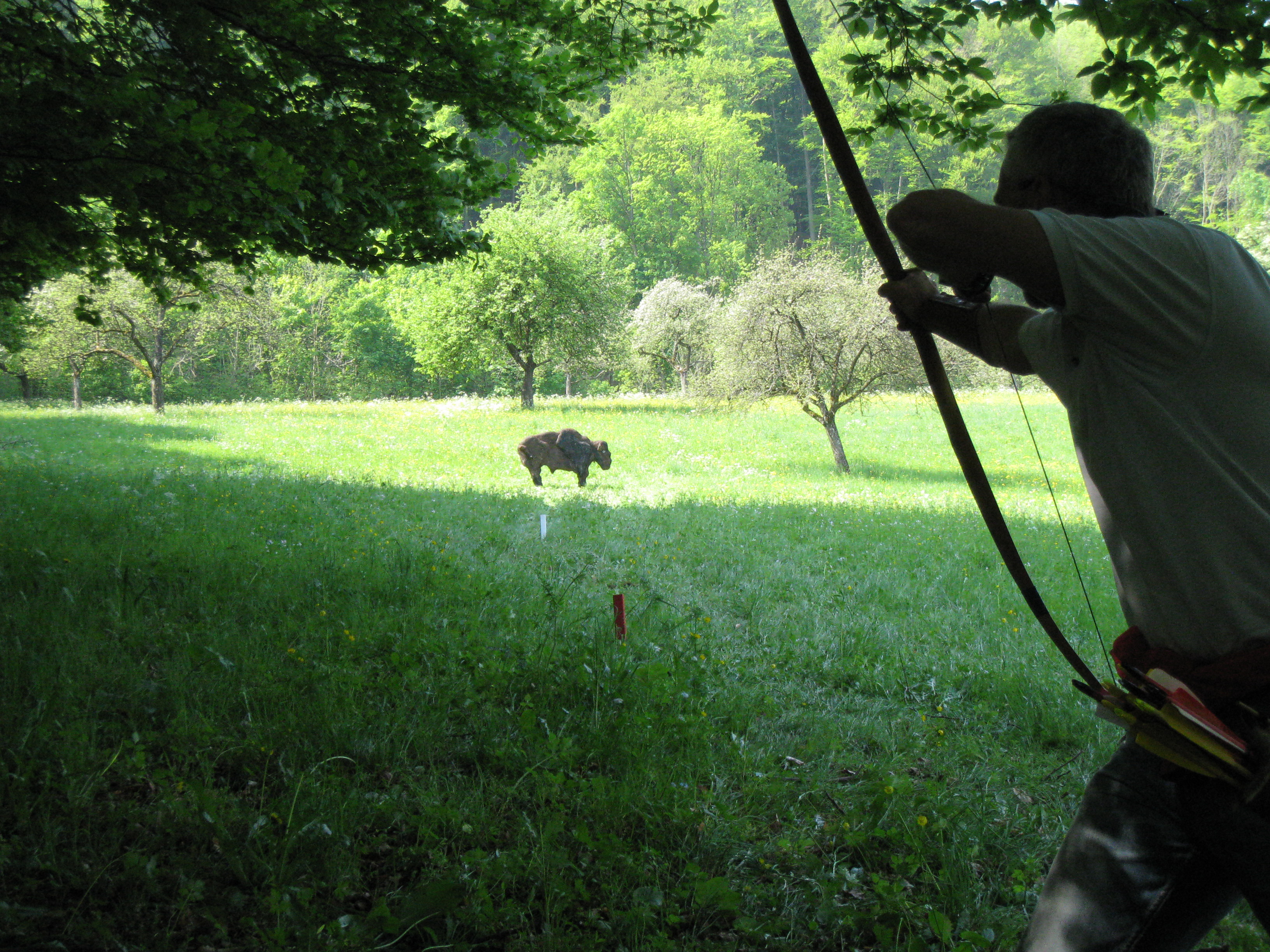Hegau Archers e.V. Title Image