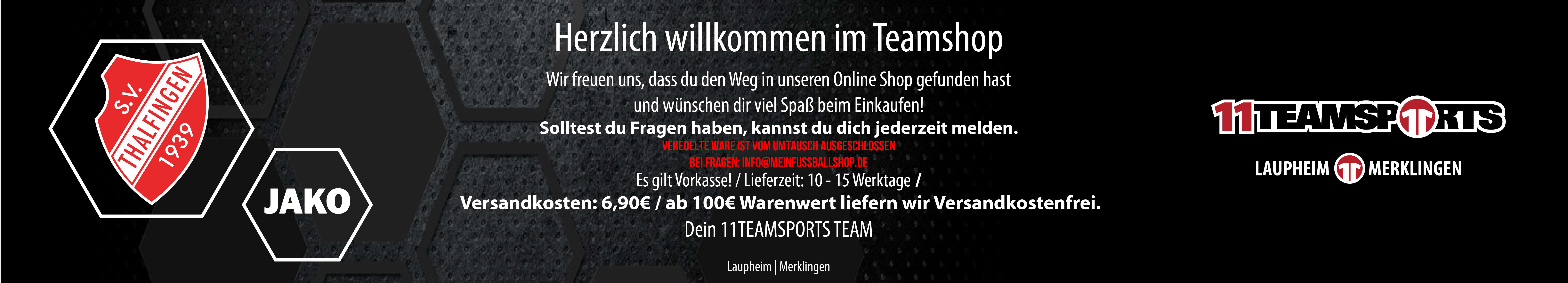 SV Thalfingen Fußball Title Image