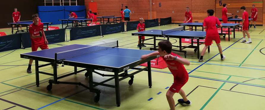 VfL Kirchheim Tischtennis Title Image