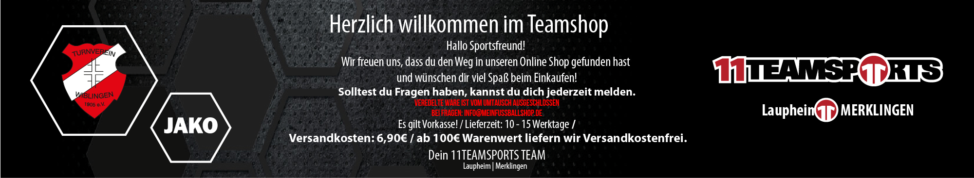TV Wiblingen Tennis Title Image