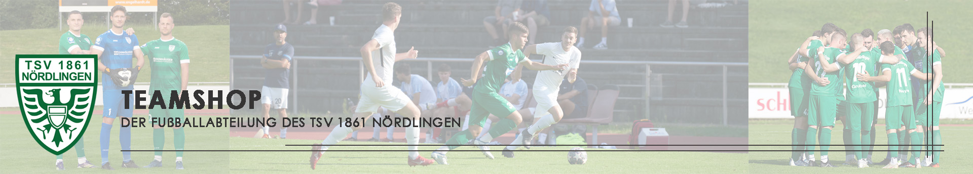TSV 1861 Nördlingen Title Image