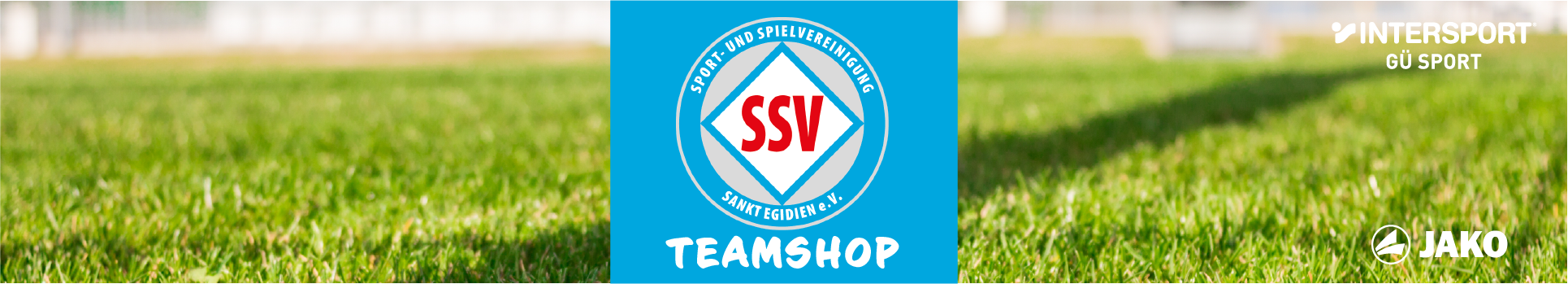 SSV St. Egidien Title Image
