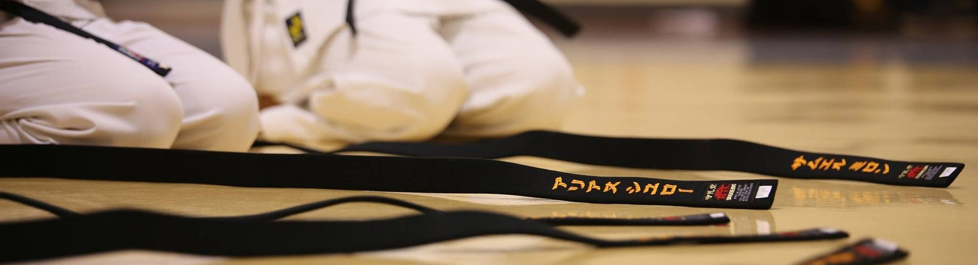 Shotokan Karate Title Image
