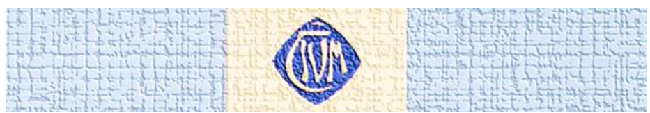 Faustball TSV Malmsheim Title Image