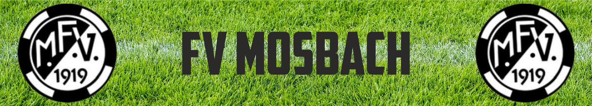 FV Mosbach Title Image