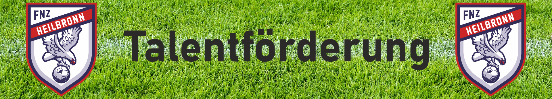 FNZ Talentförderung Title Image