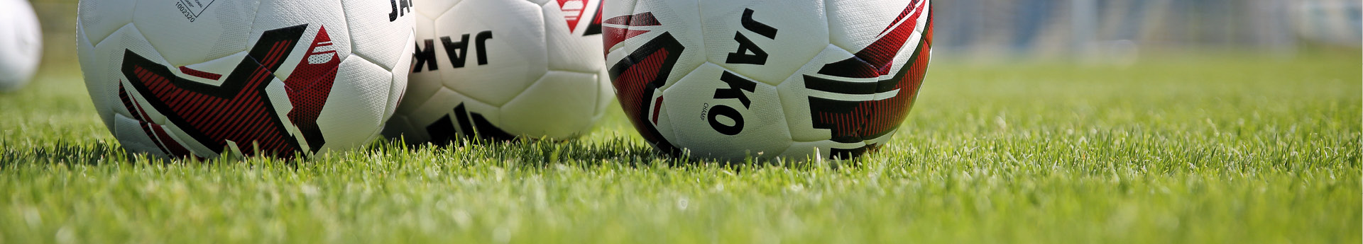 VFB BURBACH Title Image