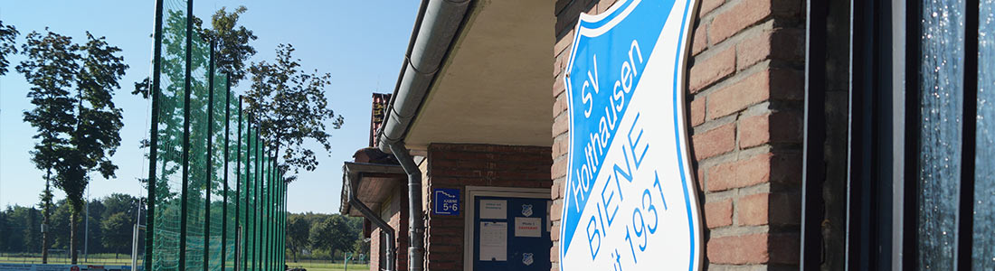 SV Holthausen Biene Title Image