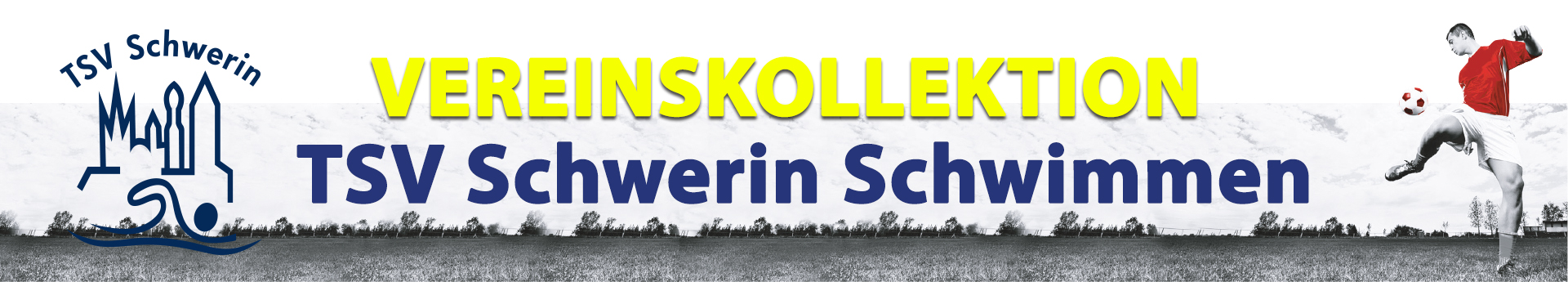 TSV Schwerin Schwimmen Title Image