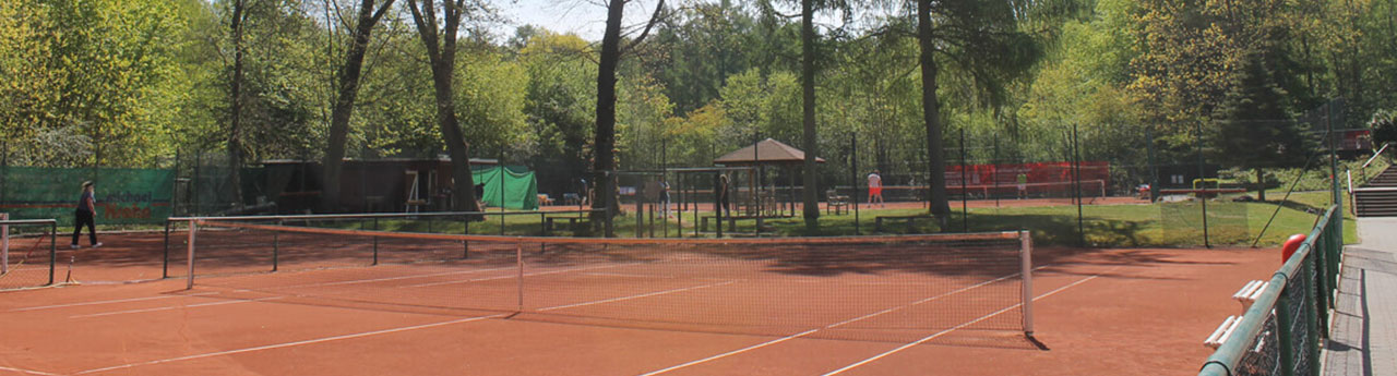 TSV Sasel  Tennis/Volleyball Title Image