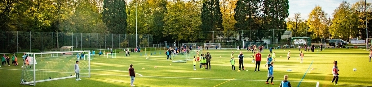 TSV Alemannia Zähringen Title Image