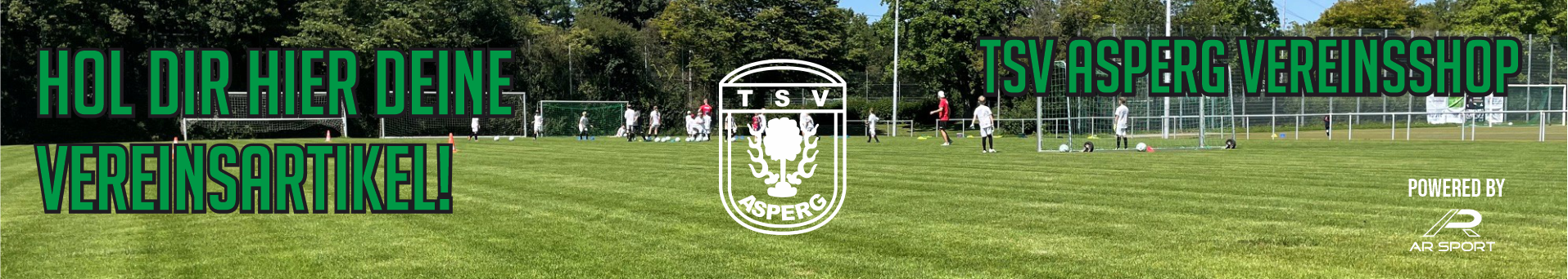 TSV Asperg / SGM Asperg-Möglingen Title Image